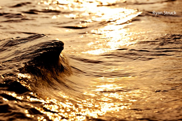 tiny wedge fine art surf photography. surf photo. nj surf report. nj surf photo blog. surf blog. new jersey photographer.
