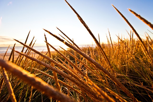 fall. autumn. sunrise photo. lifestyle photographer. lifestyle photography. new jersey surf. 