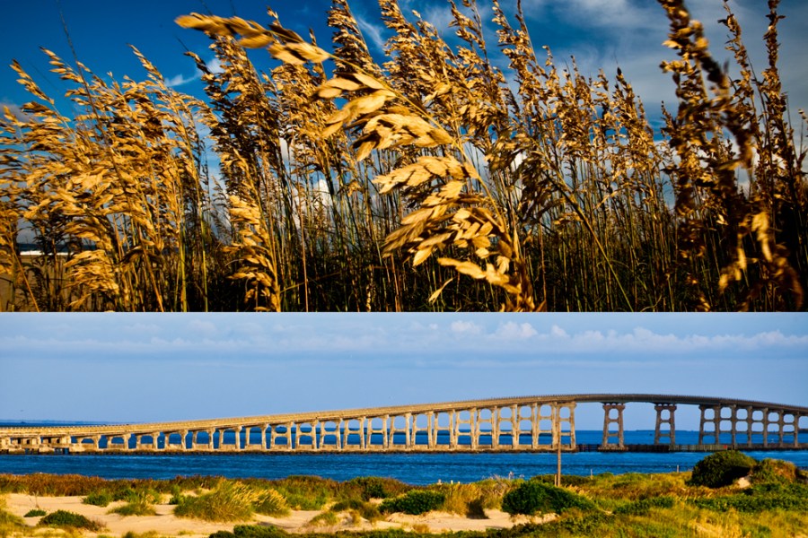 autumn. fall. seasonal. weather. bonner bridge. obx. outer banks. beach photo.
