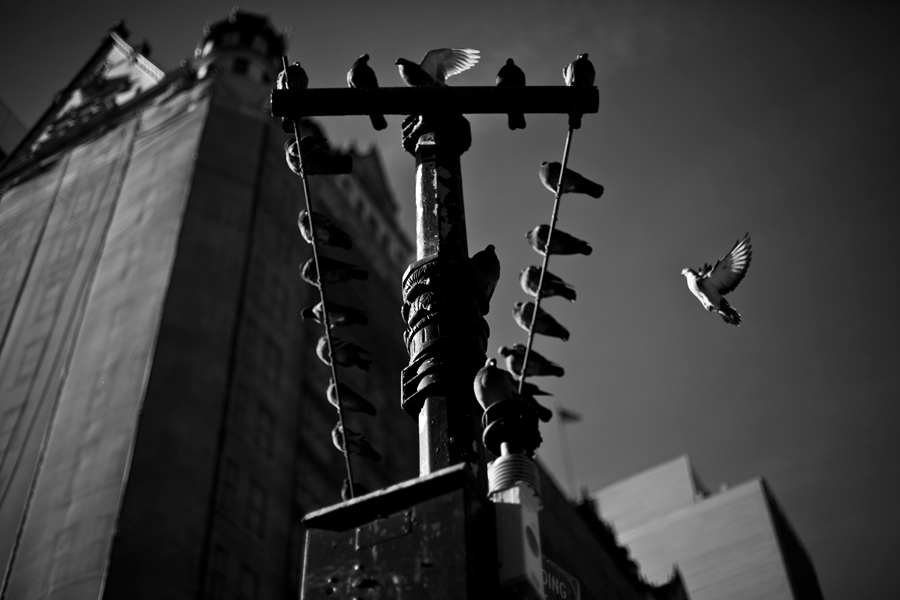 new york city. street photography. fall fashion. street advertisment. november 2013. what are people wearing. new york photographer.