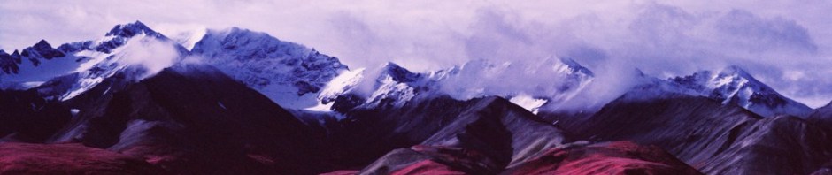 alaska. denali. national park. landscape